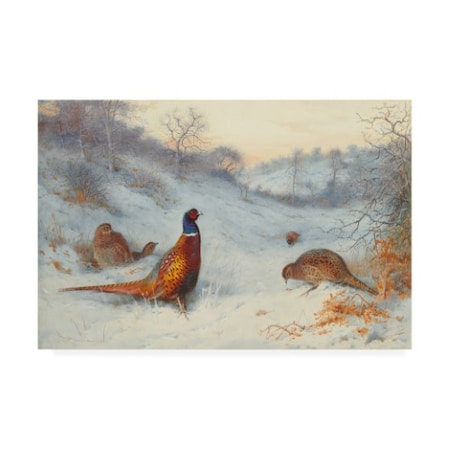 Trademark Fine Art Archibald Thorburn 'Pheasant in the snow' Canvas Art, 30x47 BL02614-C3047GG